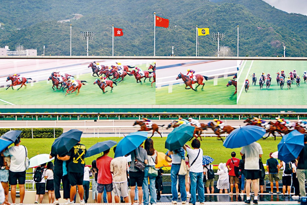 昨日馬季煞科遇上打風,一眾馬迷無懼風雨,興致勃勃入沙田馬場觀賽。