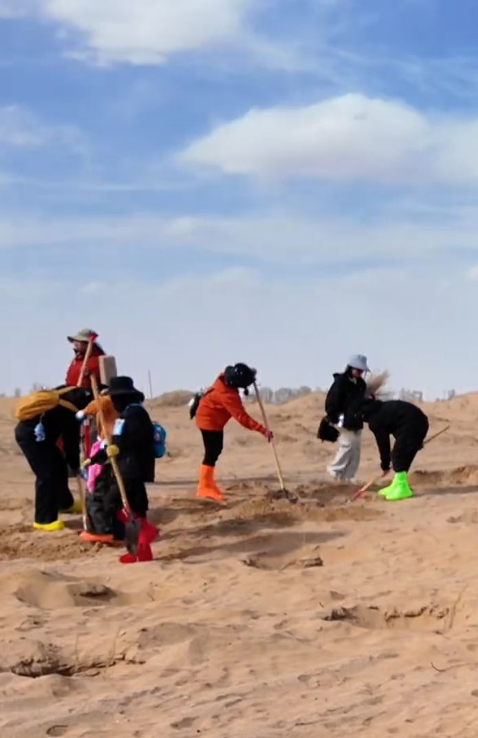 每年的民勤種樹活動，參加者也以女性義工為主。抖音＠小仲—沙漠變綠洲