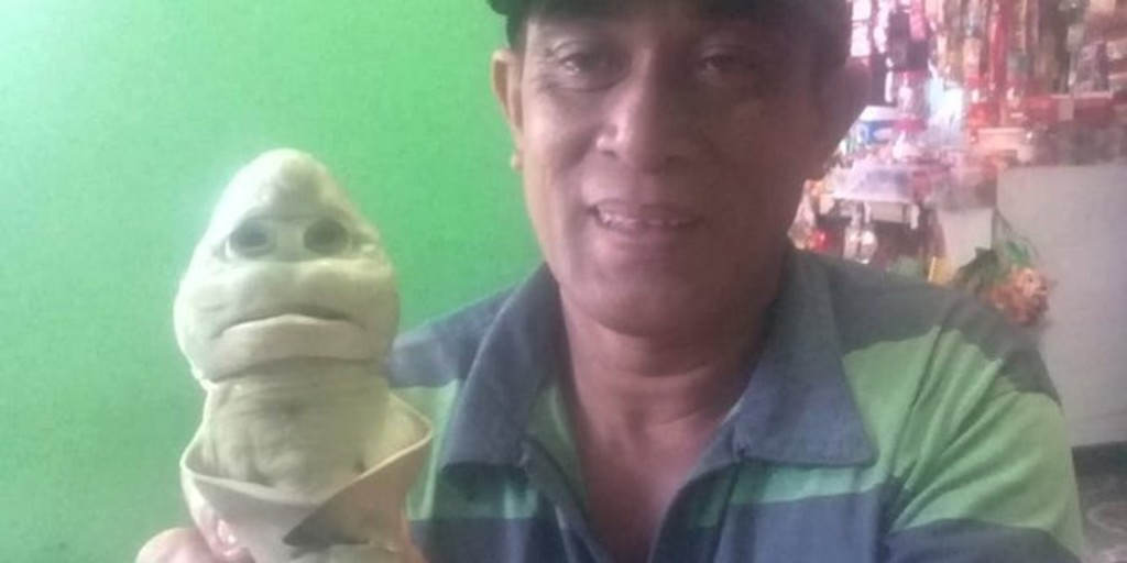 渔夫觉得该人脸幼鲨会给他带来好运。（网图）