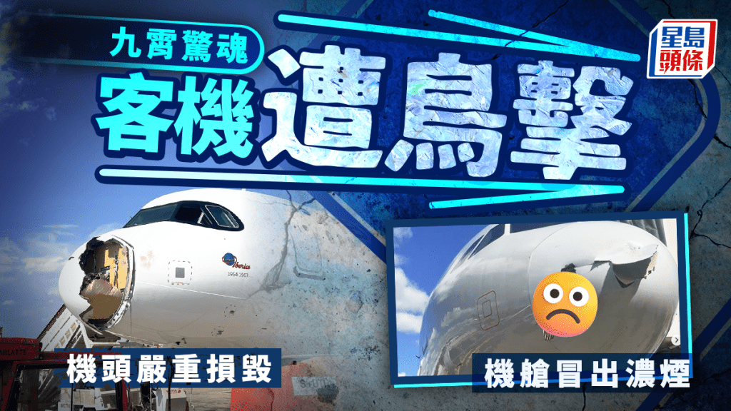 九霄驚魂 | 西班牙客機高空遭鳥擊 機頭撞出大洞冒煙 乘客恐慌急扯氧氣罩