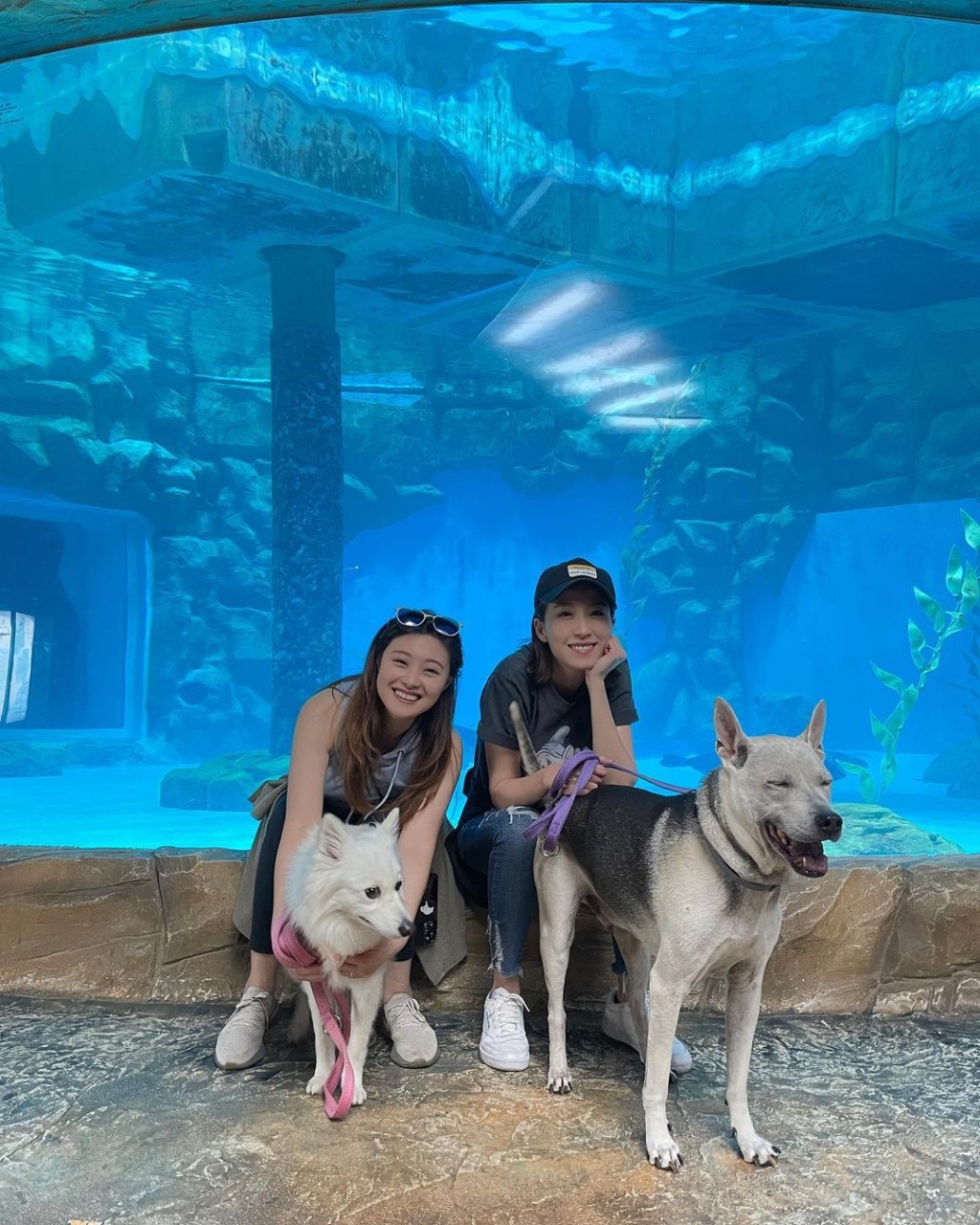 两姊妹带埋爱犬去海洋公园。