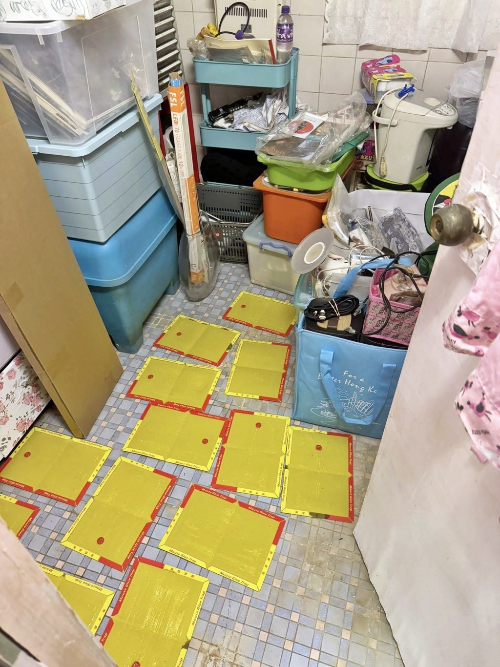 facebook截圖(資料來源:Daisy Chum@facebook香港滅蟲關注組) facebook截圖(資料來源:Daisy Chum@facebook香港滅蟲關注組)