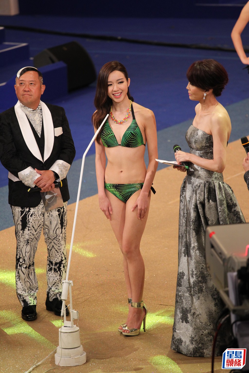 麦明诗参选《2015年度香港小姐竞选》入行。  ​