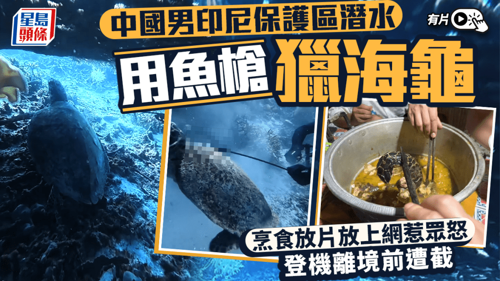 中國男印尼潛水獵海龜烹食惹眾怒  登機離境前遭截｜有片