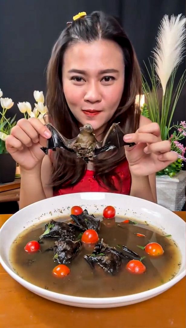 一名泰國網紅表演食蝙蝠，惹起風波，她在鏡頭前展示撕開蝙蝠翼。互聯網截圖