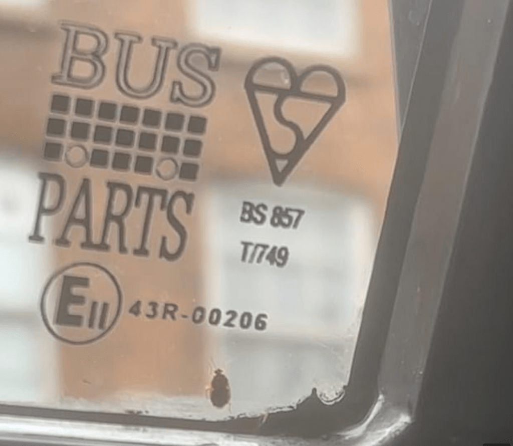 昨天在曼彻斯特的一辆巴士上亦发现了床虱踪影，进一步加深了社会的恐惧。