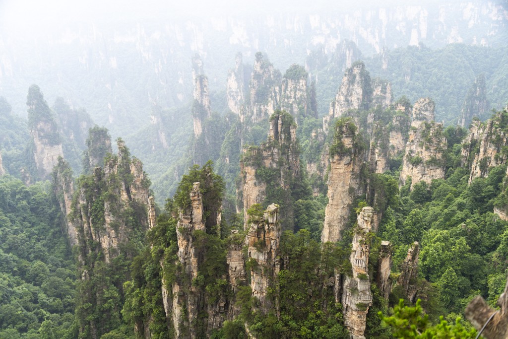 天子山以石林奇观而闻名，图为天子山西海石林。