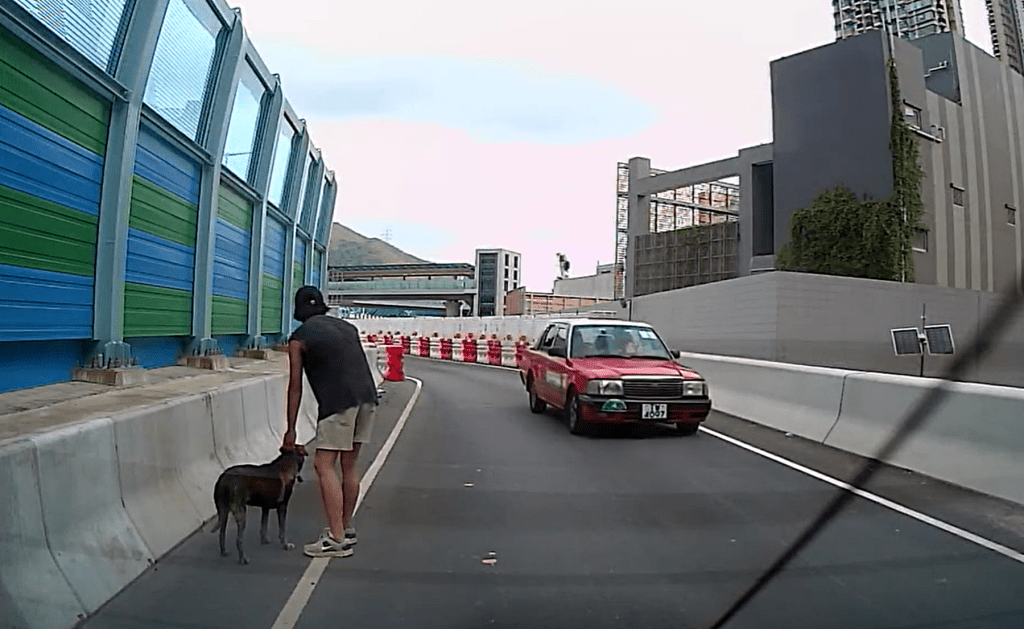 不時有汽車在身邊經過。網圖