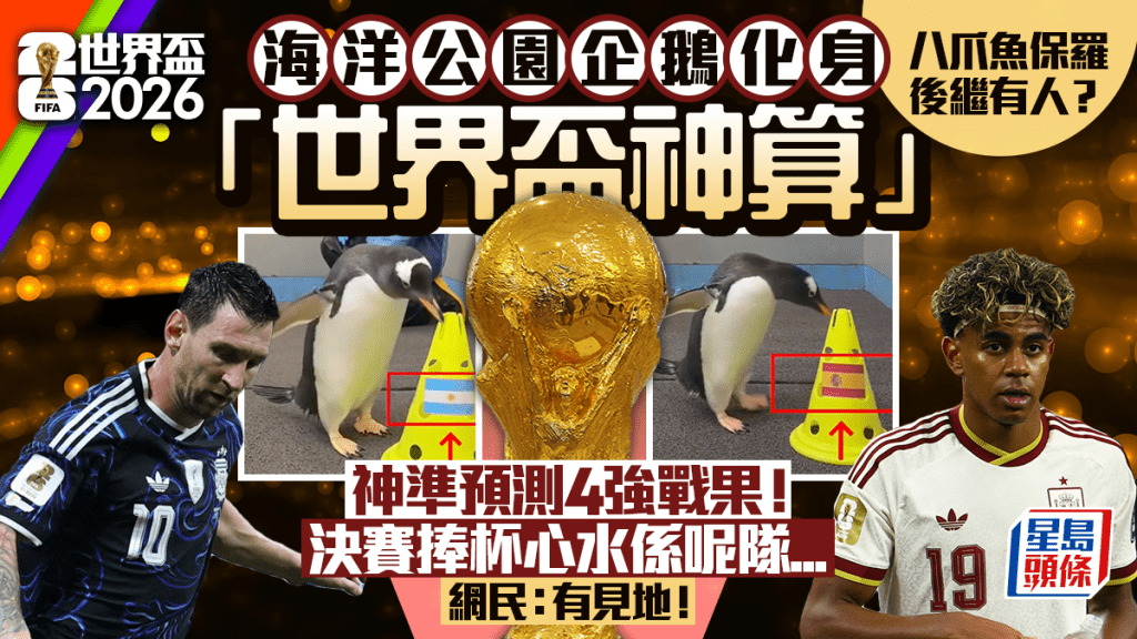 海洋公園企鵝變「世界盃神算」四強戰果神準！阿根廷/西班牙決賽心水係呢隊 網民：有見地！