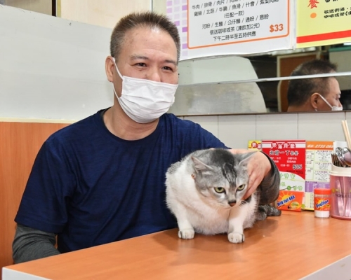 「肥仔」現已重回主人懷抱。