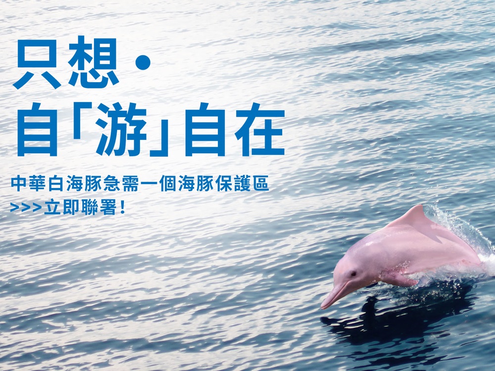 WWF呼籲大眾出一分力，攜手守護中華白海豚。WWF圖片