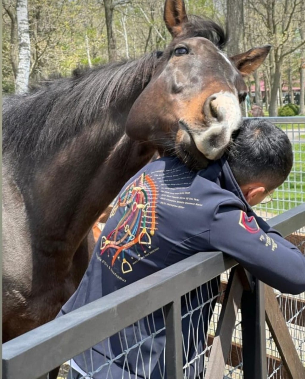 何泽尧近日前往日本北海道，探望正在北方牧场享受退休生活的三届马王「金鎗六十」，今日将启程返回香港，为明天沙田赛事作好准备。 (相片来源：vincentho.official IG）