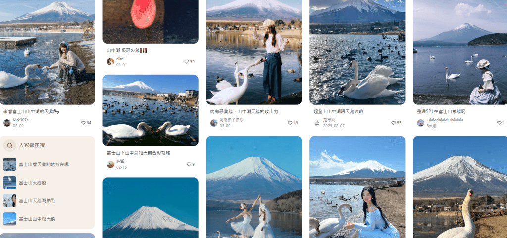 在山中湖與天鵝合照於內地社媒上非常流行。小紅書 在山中湖與天鵝合照於內地社媒上非常流行。小紅書