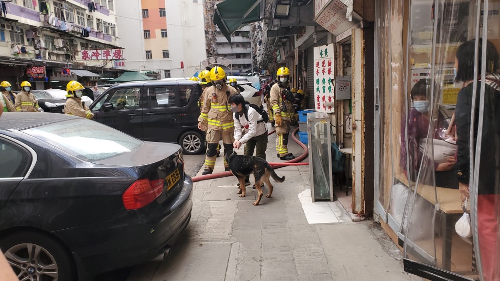 消防在現場救出兩狗。