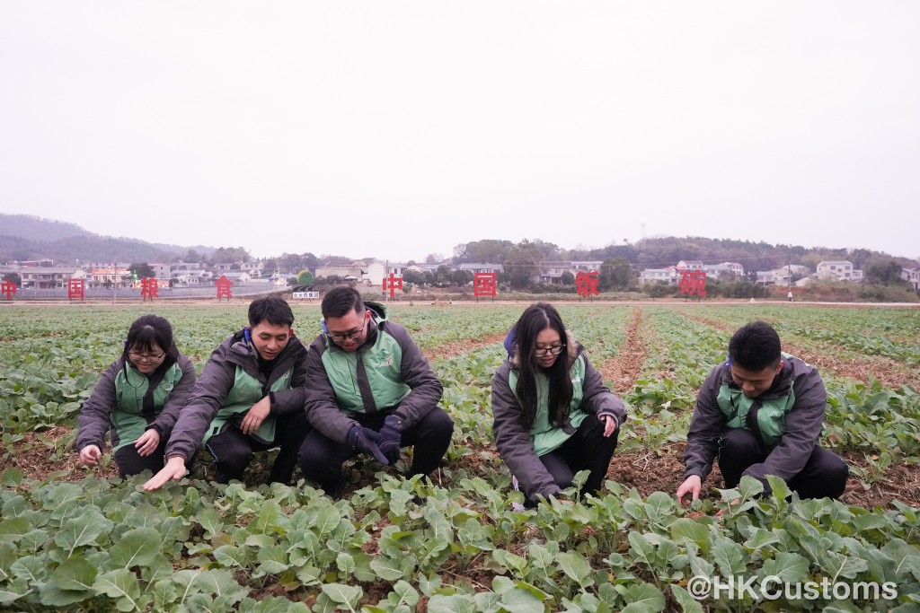 考察團到訪韶山華潤希望小鎮，親身進行農事體驗。海關fb