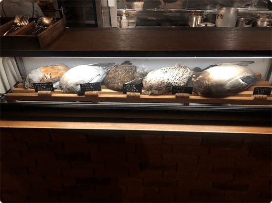北海道札幌專營野味餐廳內陳列的野禽。網圖