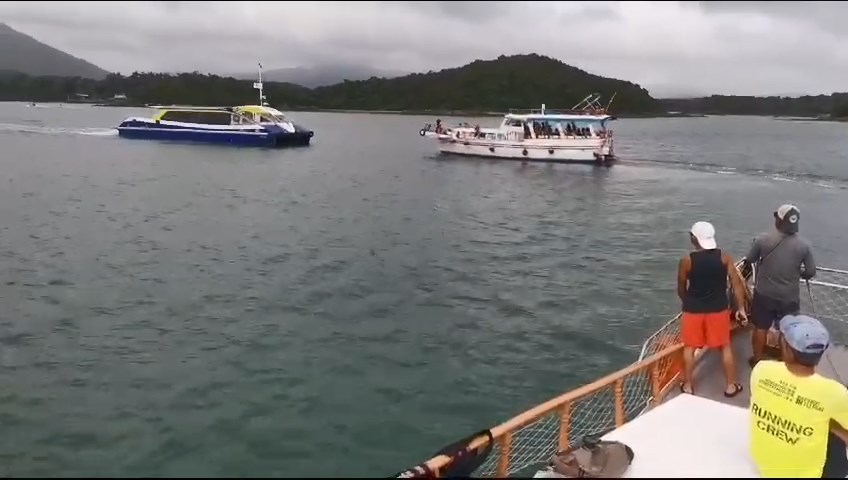 游艇与滘西洲渡轮迎面相撞。