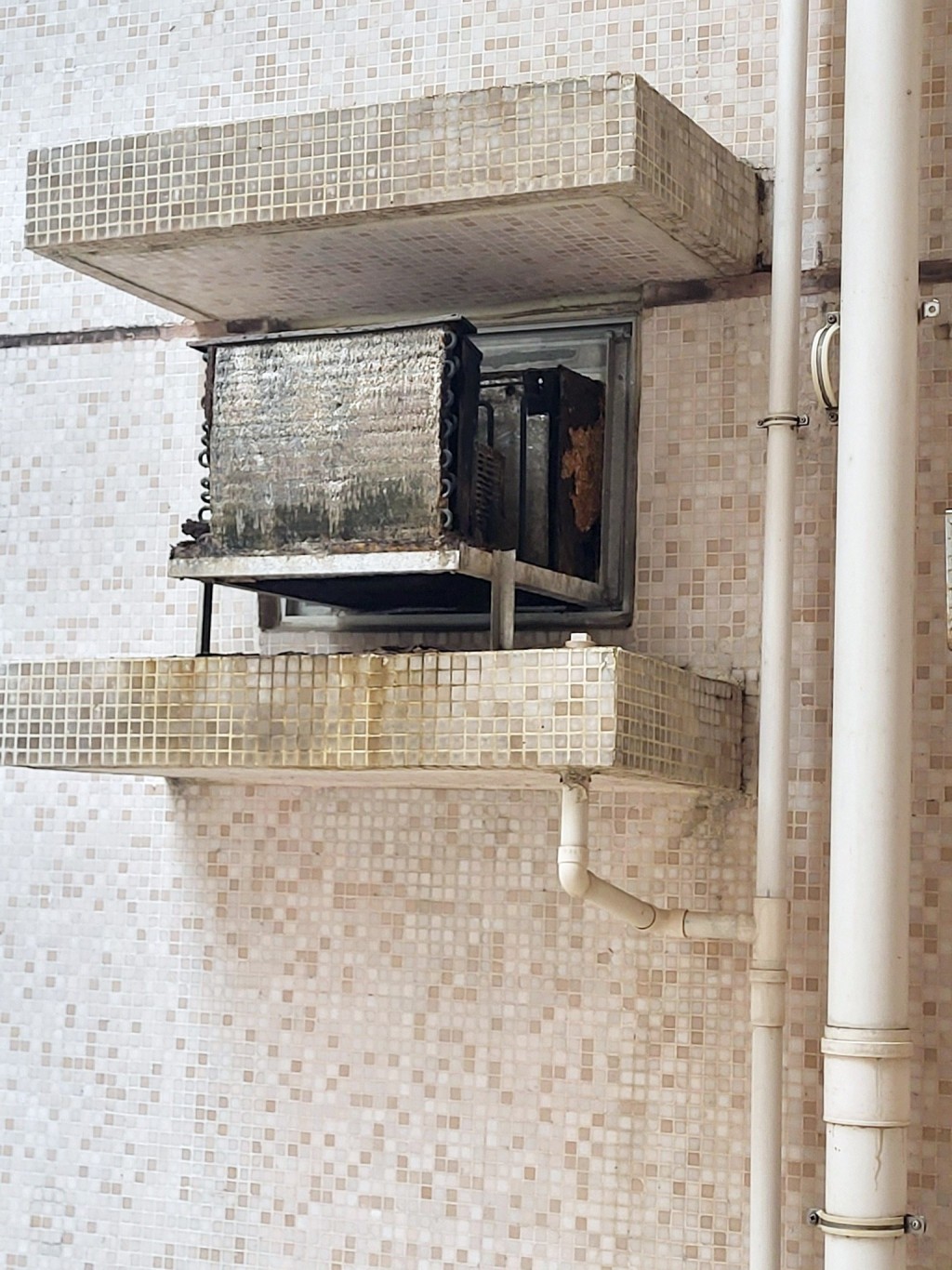 facebook截圖(資料來源:Cheuk Wing Leung@facebook將軍澳主場) facebook截圖(資料來源:Cheuk Wing Leung@facebook將軍澳主場)