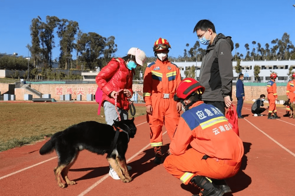 雲南消防搜救犬訓練基地年都會讓民眾領養淘汰犬。　雲南消防