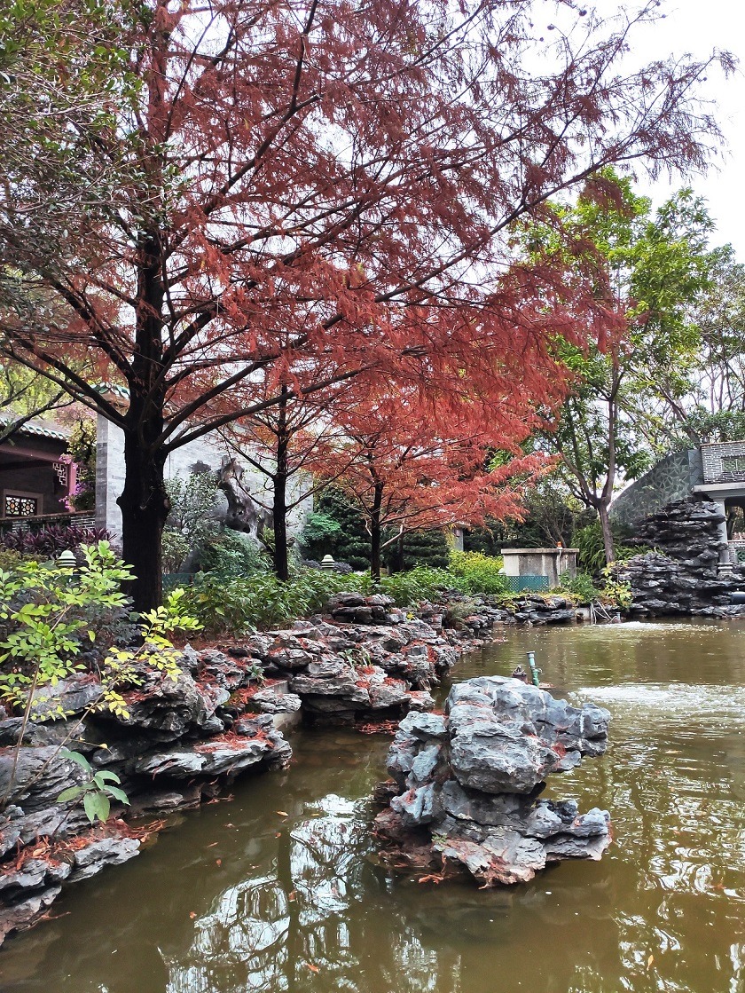 岩巉的太湖石襯托出公園的庭院設計。( Sajahan Rayn圖片 )