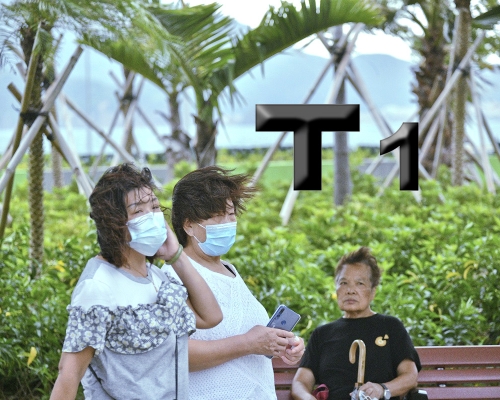 周末期間風勢頗大,海有大浪及湧浪。資料圖片