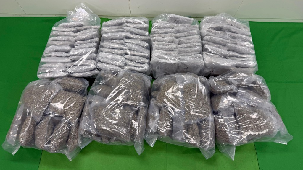 泰國抵港貨櫃報稱載有芒果乾 海關搜查檢獲1450萬元大麻花