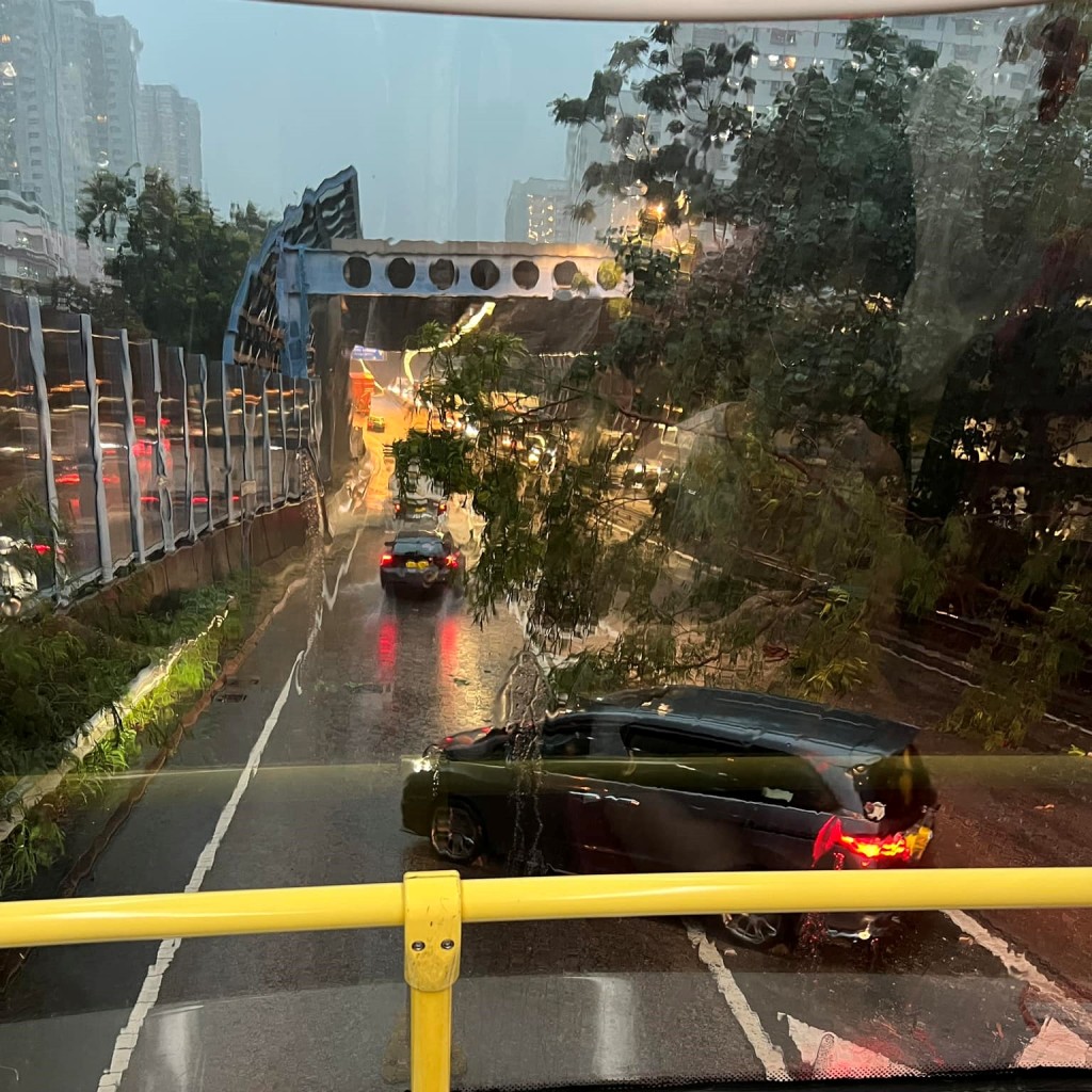 皇珠路亦有塌樹。屯門公路塞車關注組FB