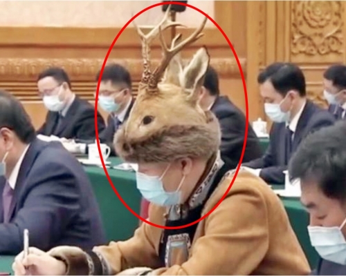 一名人大代表穿戴的「小鹿帽」引起網民熱議。網圖
