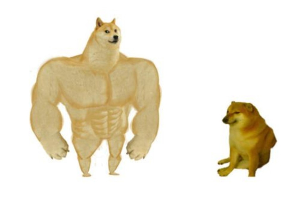 經典meme圖「肌肉柴與小廢柴」（Buff Doge vs Cheems）。