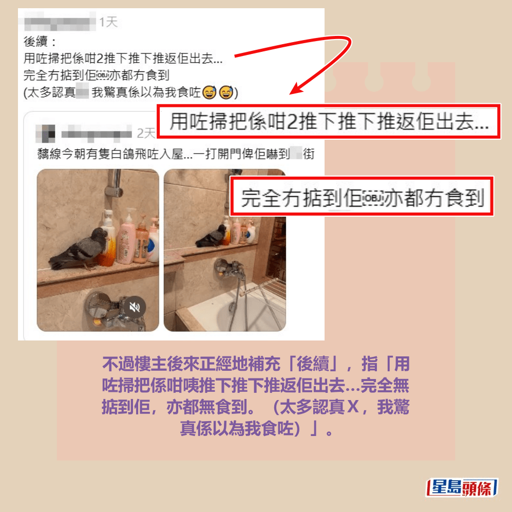 不過樓主後來正經地補充「後續」,指「用 咗掃把係咁咦推下推下推返佢出去…完全無 掂到佢,亦都無食到。(太多認真X,我驚 真係以為我食咗)」。Threads截圖 不過樓主後來正經地補充「後續」,指「用 咗掃把係咁咦推下推下推返佢出去…完全無 掂到佢,亦都無食到。(太多認真X,我驚 真係以為我食咗)」。Threads截圖