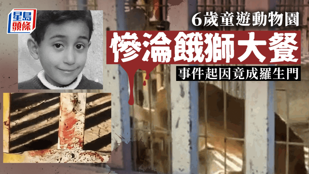 6歲童遊動物園疑擅爬獅子欄釀悲劇  身體被卡淪餓獸大餐慘死