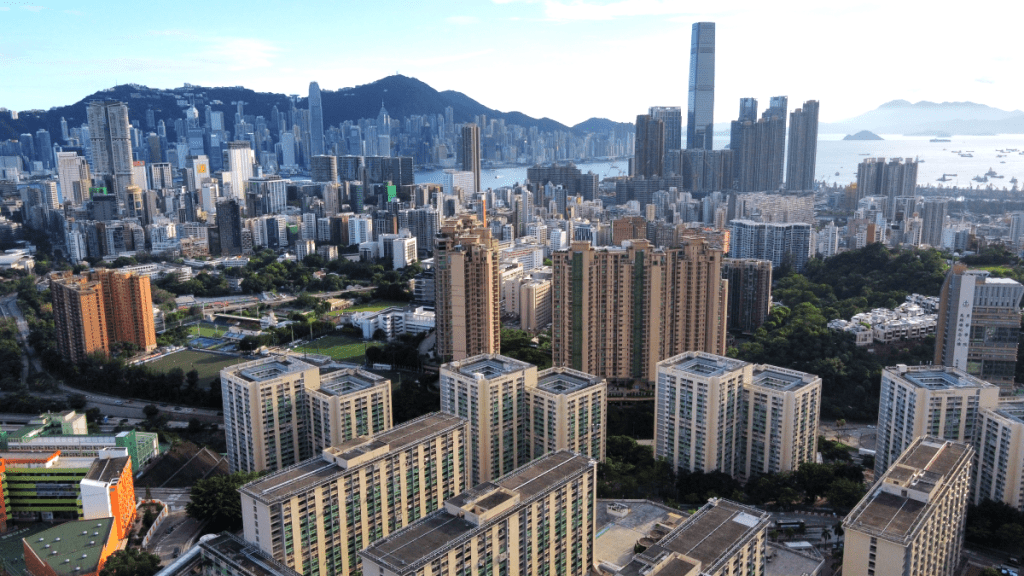 私樓庫存高企 政策宜果斷穩市場|龍漢標