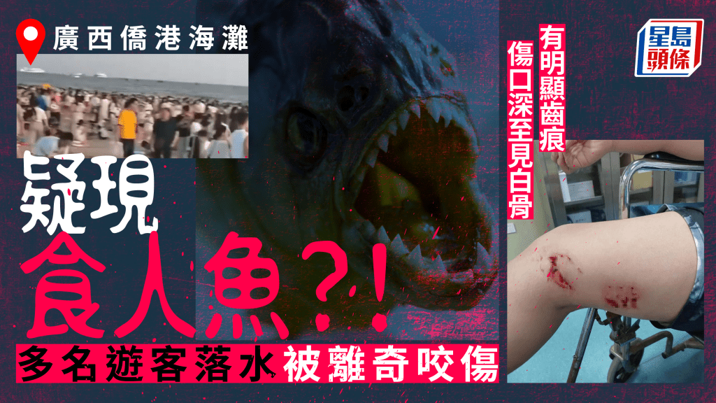 廣西驚見食人魚?泳客海灘落水離奇被咬至流血