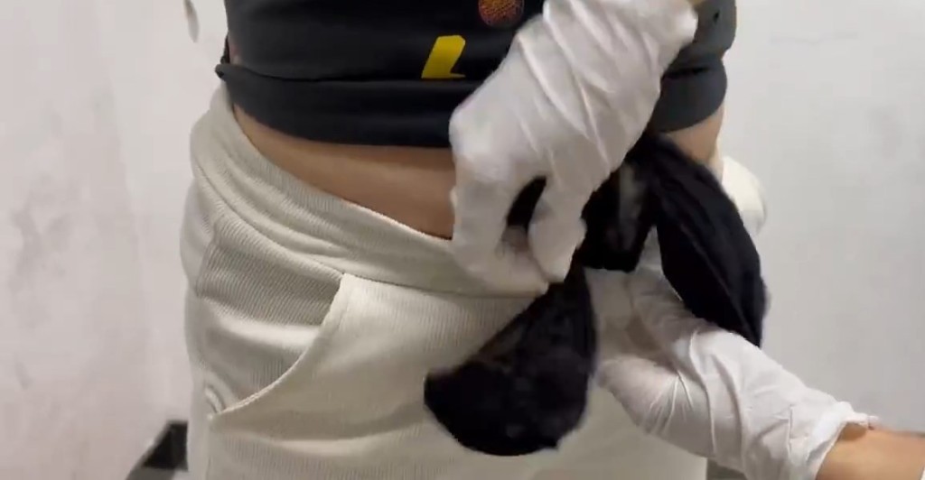 4名旅客經羅湖口岸北上，被揭偷運72隻虎紋鈍口螈。海關發布