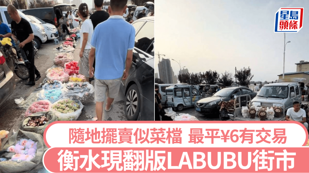 河南衡水出現翻版LABUBU街市，大量公仔如菜檔般擺賣。抖音＠F不裘 ／貓沒吃過魚