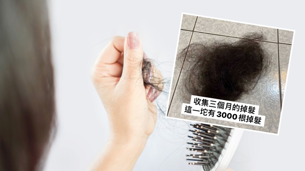 女子花了3個月收集甩髮。圖「爆廢公社二館」fb/網圖