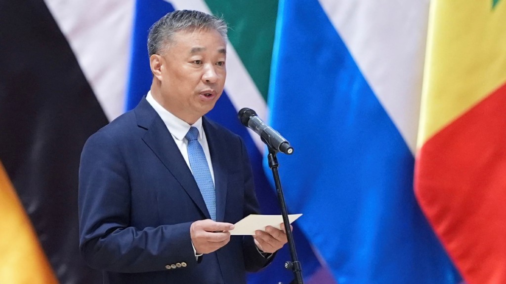 苗得雨任中國外交部副部長。中新社資料圖