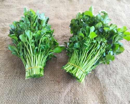 長沙灣菜檔一西洋菜樣本除害劑超標。網上圖片