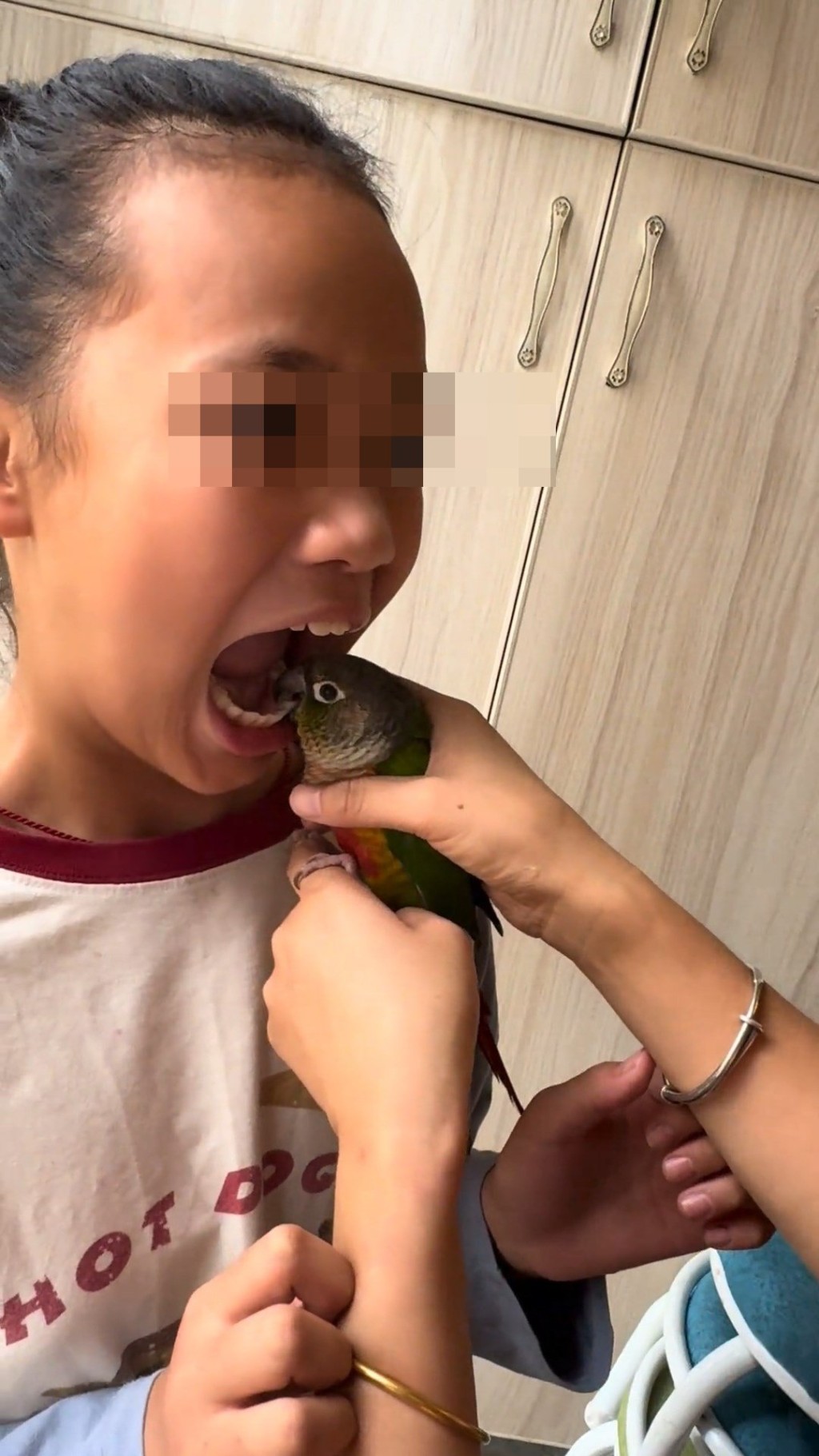 影片見,有人手捉鸚鵡替女孩拔牙。抖音@周周沒煩惱 影片見,有人手捉鸚鵡替女孩拔牙。抖音@周周沒煩惱