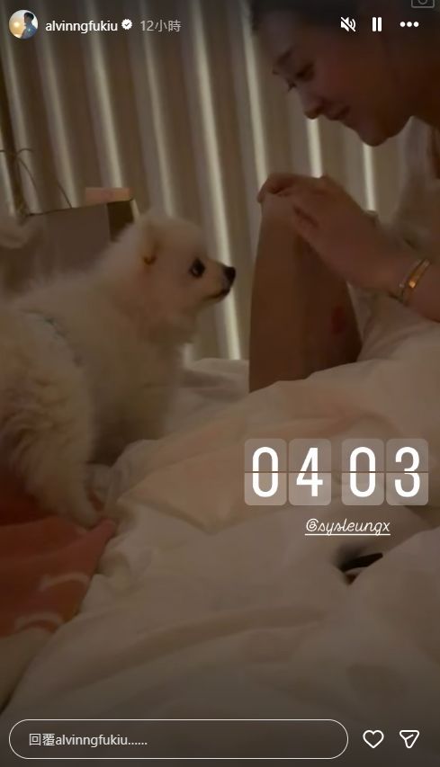 伍富橋太太Shirley半夜同愛犬玩。 伍富橋太太Shirley半夜同愛犬玩。