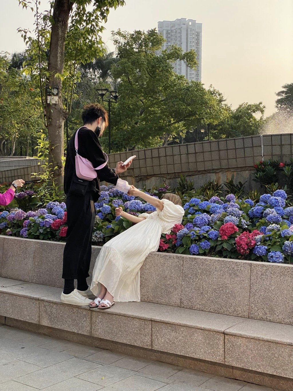 网民目睹有对情侣天水围公园绣球花圃打卡。（图片来源：FB @ 香港风景摄影会）