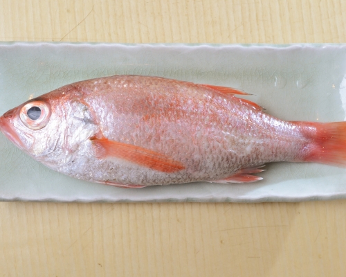 金目鯛。資料圖片