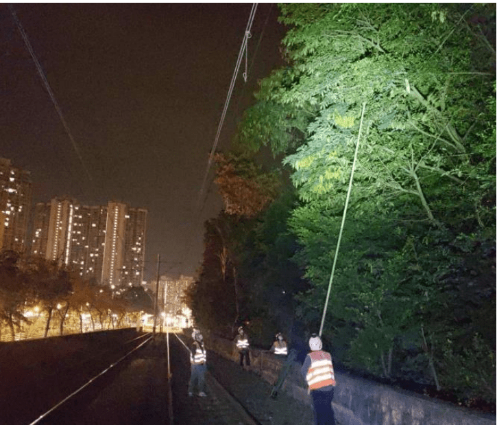港铁的树木管理团队定期检查铁路露天路段树木的情况。港铁图片