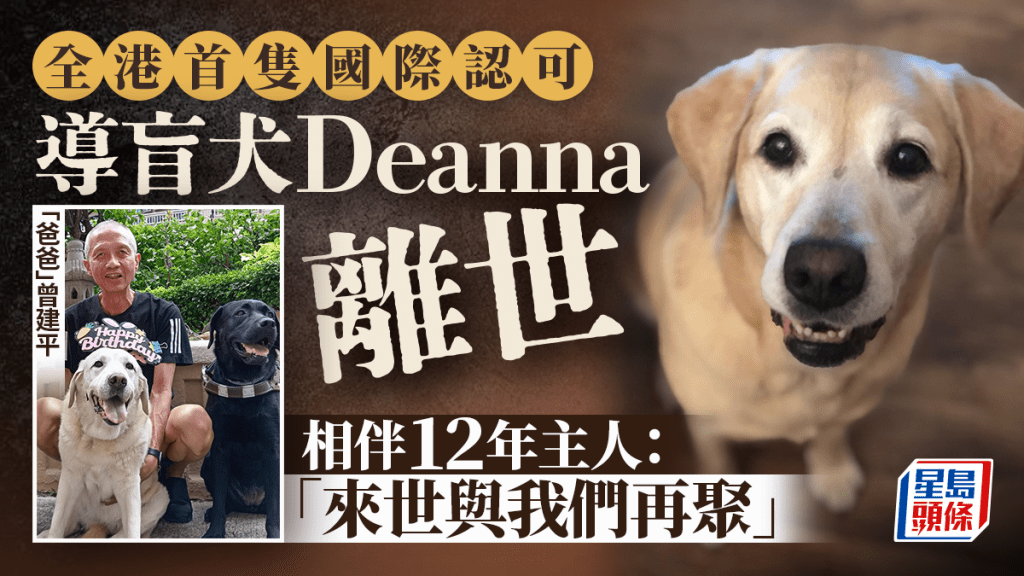 	全港首隻獲國際認可導盲犬Deanna離世 相伴12年主人：來世與我們再聚