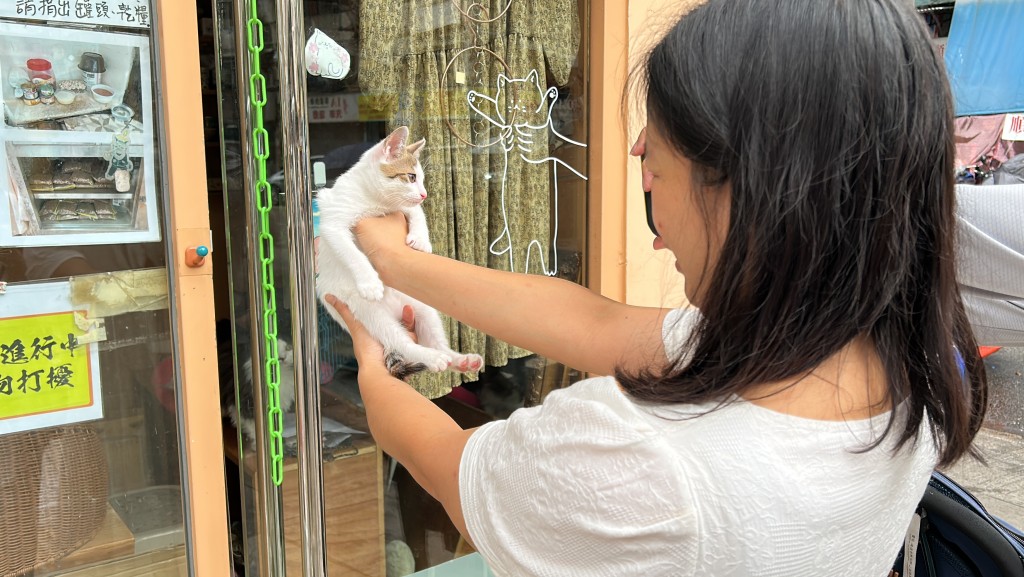 貓屋女店主李小姐開店讓人免費領養貓隻。蔡楚輝攝