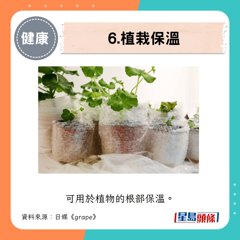 6. 植栽保溫