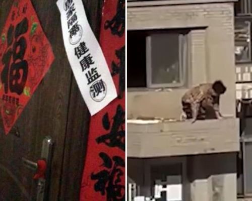 大連傳40萬戶被貼封條禁外出，網傳老婦曾企圖爬窗外出。
