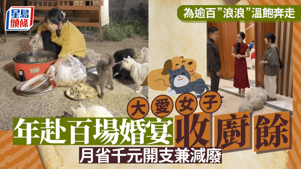 大愛女子年赴百場婚宴「佔便宜」？   為120隻流浪動物溫飽奔走