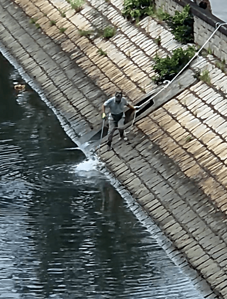 有市民昨天用勾捕殺魔鬼魚。網上截圖