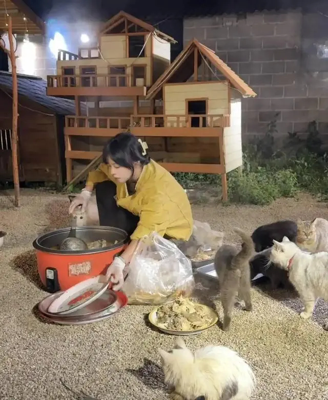 為收養的流浪動物得溫飽，宣宣到婚宴收集廚餘。